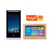 Tuya Smart APP Video Voice Two-Way Intercom Calling System support IP cameras surveillance