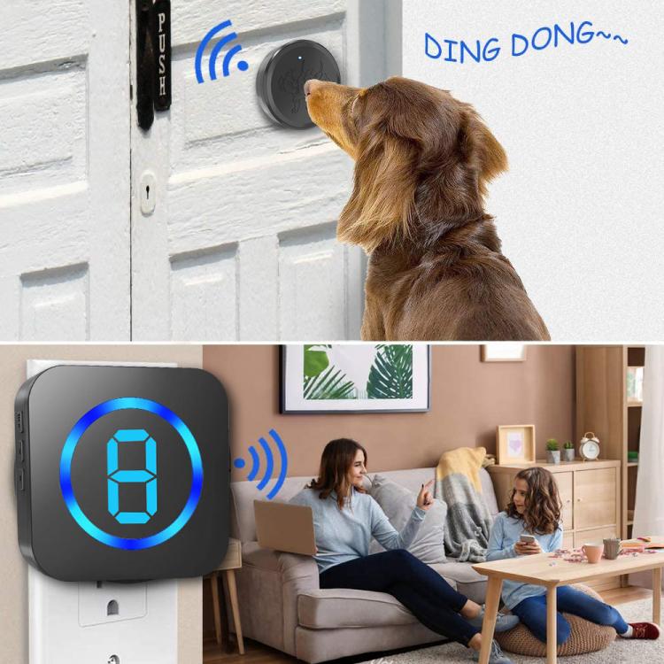 Pet Wireless Doorbell Battery Powered DC 55 Melody Wireless Receiver And Transmitter Doorbells Electric Door Bells Pet Touch Doorbell 第5张